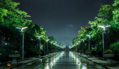 世紀(jì)公園和徐匯濱江跑道升級(jí) 更規(guī)范和人性化[圖]