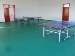 pvc運動地板6